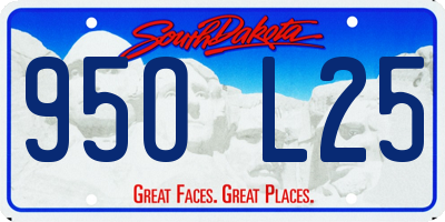 SD license plate 95OL25