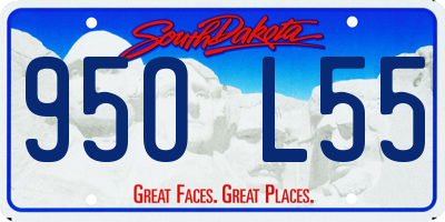 SD license plate 95OL55