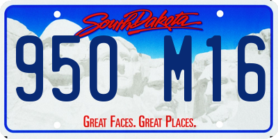 SD license plate 95OM16