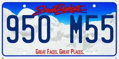 SD license plate 95OM55