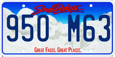 SD license plate 95OM63