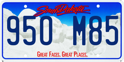 SD license plate 95OM85