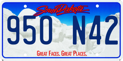 SD license plate 95ON42