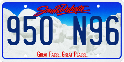 SD license plate 95ON96