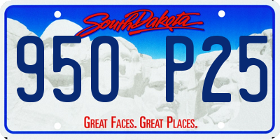 SD license plate 95OP25