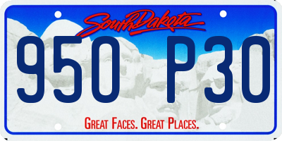 SD license plate 95OP30