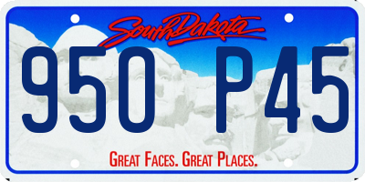 SD license plate 95OP45