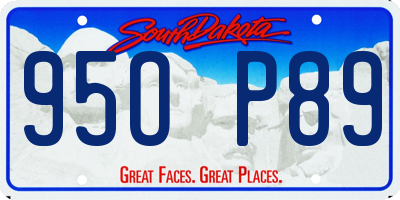 SD license plate 95OP89