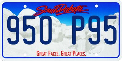 SD license plate 95OP95