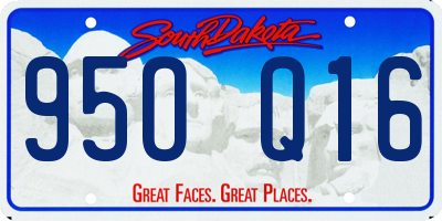 SD license plate 95OQ16
