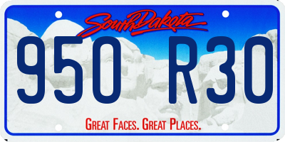 SD license plate 95OR30