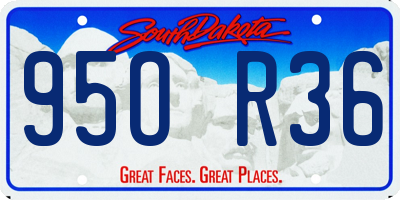 SD license plate 95OR36