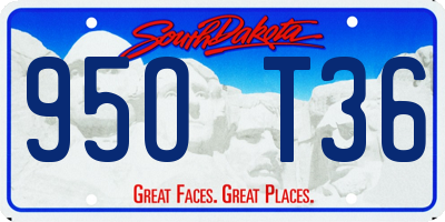SD license plate 95OT36