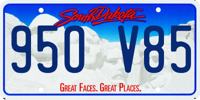 SD license plate 95OV85