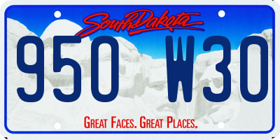 SD license plate 95OW30