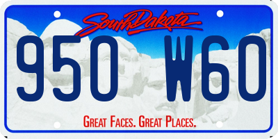 SD license plate 95OW60