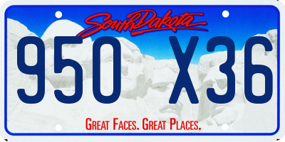 SD license plate 95OX36