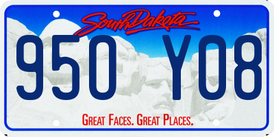SD license plate 95OY08