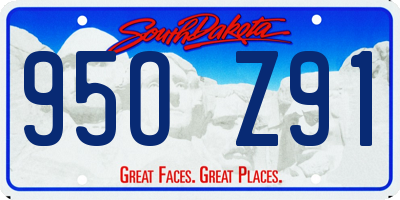 SD license plate 95OZ91