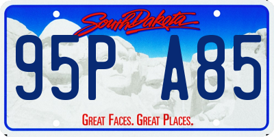 SD license plate 95PA85