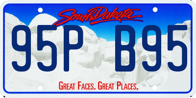 SD license plate 95PB95