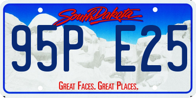 SD license plate 95PE25