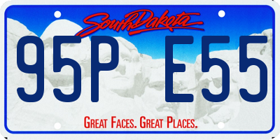 SD license plate 95PE55