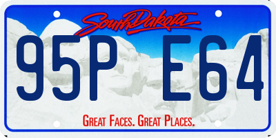 SD license plate 95PE64