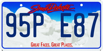 SD license plate 95PE87