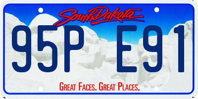 SD license plate 95PE91