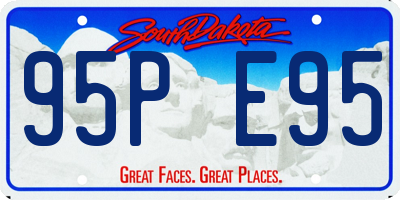 SD license plate 95PE95