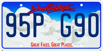 SD license plate 95PG90