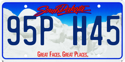 SD license plate 95PH45