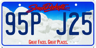 SD license plate 95PJ25