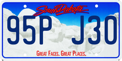 SD license plate 95PJ30
