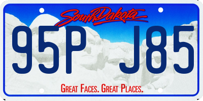 SD license plate 95PJ85