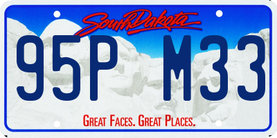 SD license plate 95PM33