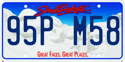 SD license plate 95PM58