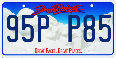 SD license plate 95PP85