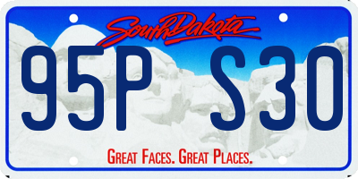 SD license plate 95PS30