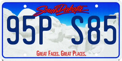 SD license plate 95PS85