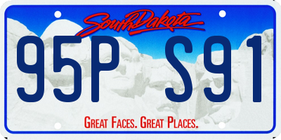 SD license plate 95PS91