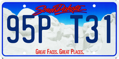 SD license plate 95PT31