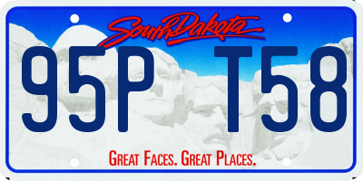 SD license plate 95PT58