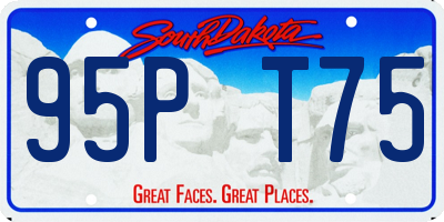 SD license plate 95PT75