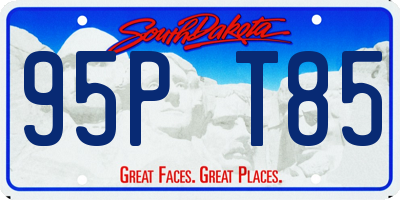 SD license plate 95PT85