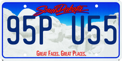 SD license plate 95PU55