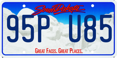 SD license plate 95PU85