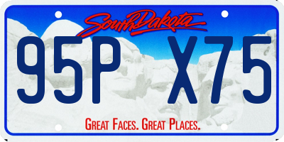 SD license plate 95PX75
