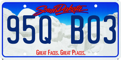 SD license plate 95QB03